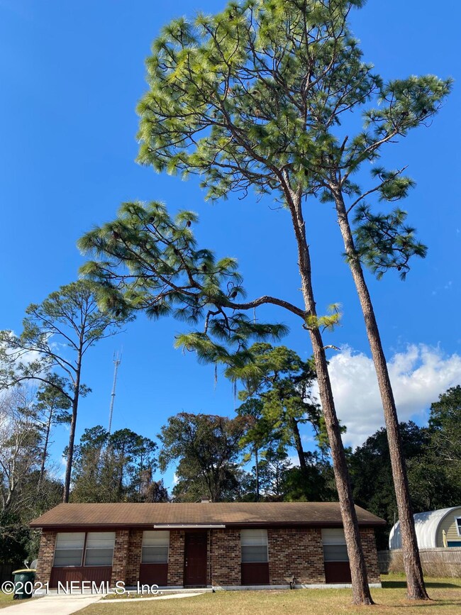 4024 Packard Dr, Jacksonville, FL 32246 - photo 3