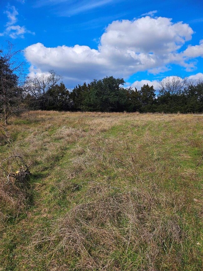 37044 Wood Acre Dr, Whitney, TX 76692 - photo 4