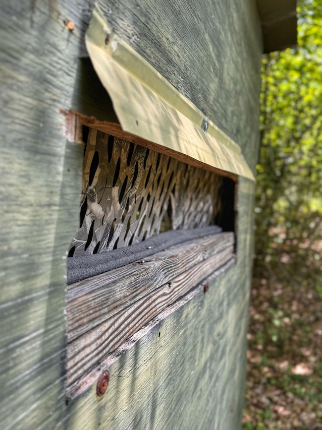 0 Smith Rd, Winfield, AL 35594 - photo 4