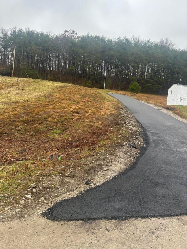 293   Lot 3 Freeman Branch Rd unit Lot 3, East Bernstadt, KY 40729 - photo 7