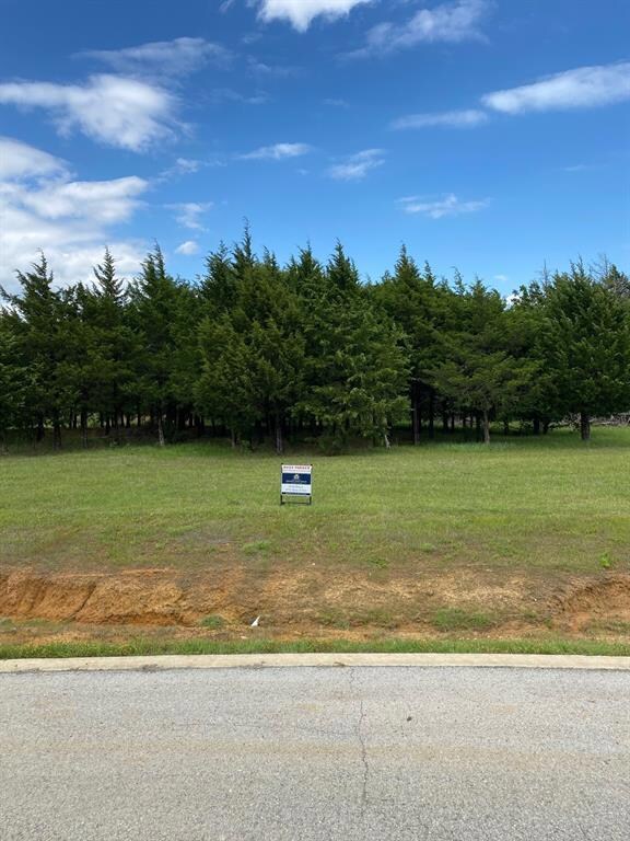 231 La Paloma Cir, Gordonville, TX 76245 - photo 2