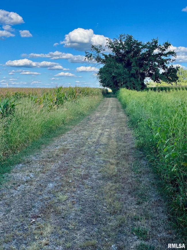 1299 N 1600 East Rd, Taylorville, IL 62568 - photo 2