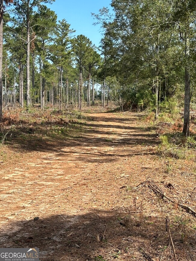 0 Seven Islands Rd unit 10593138, Madison, GA 30650 - photo 7