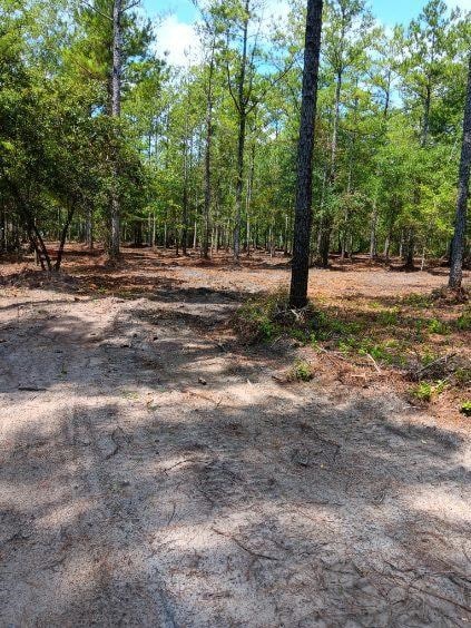 2296 Vic Waters Dr SE, Townsend, GA 31331 - photo 3