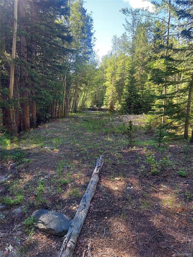 0 Lot 9 10 & 11 Deer Trail Rd unit REC5141186, Idaho Springs, CO 80452 - photo 2