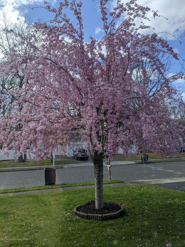 136 Ticonderoga Dr, Toms River, NJ 08755 - photo 5