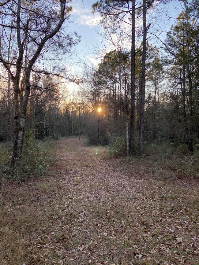 old hwy 49