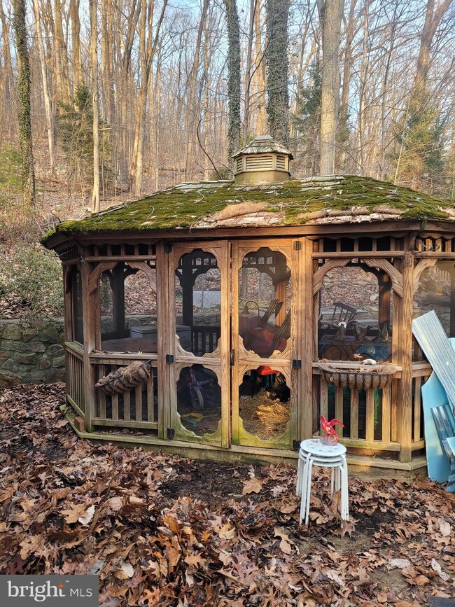 Carousel Image