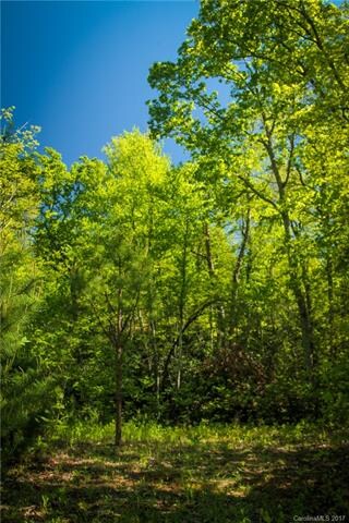 Mature trees surround the homesite.