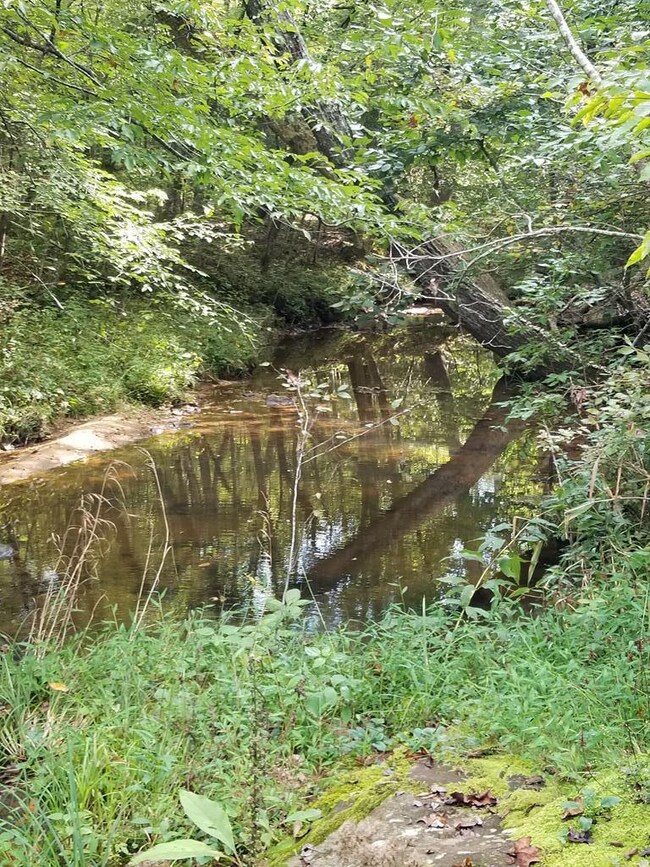 20.62 AC Stoney Cross Rd, Chase City, VA 23924 - photo 7