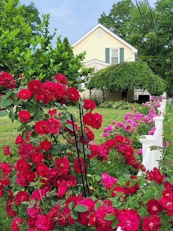 19 Lake St, Wrentham, MA 02093 - photo 4