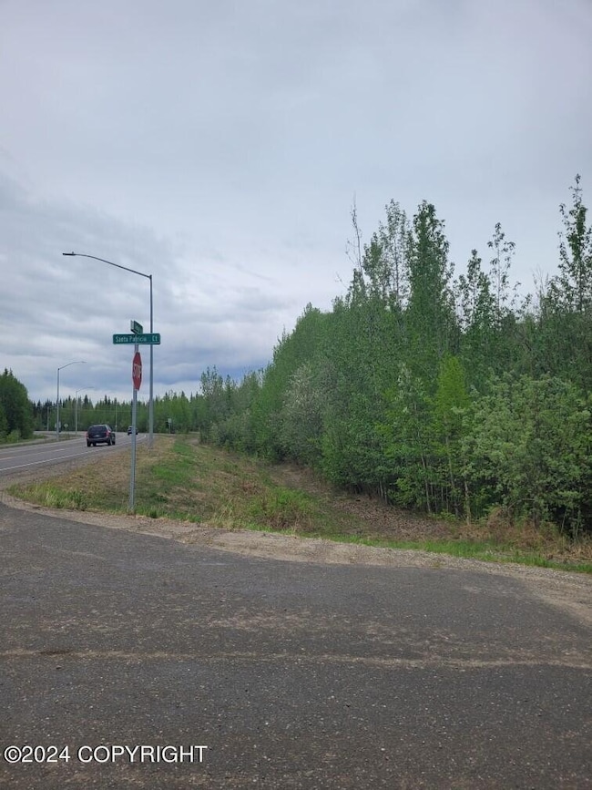 nhn Badger Rd, North Pole, AK 99705 - photo 2