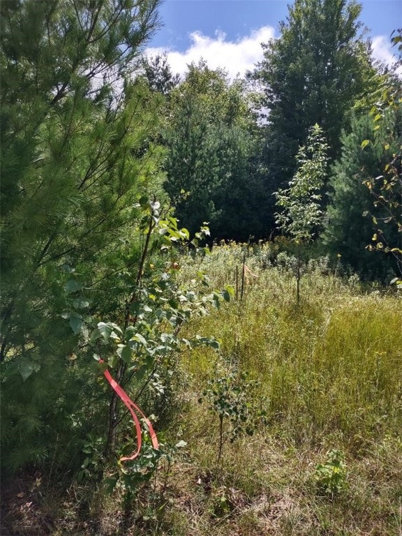 Northwest corner flagged