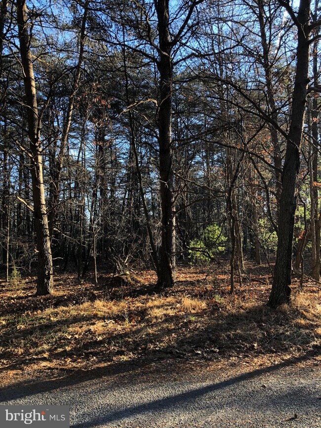 0 Longstreet Rd, Basye, VA 22810 - photo 2