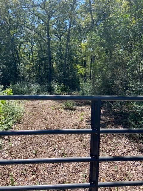 000 Sawmill Rd, Franklin, TX 77856 - photo 7