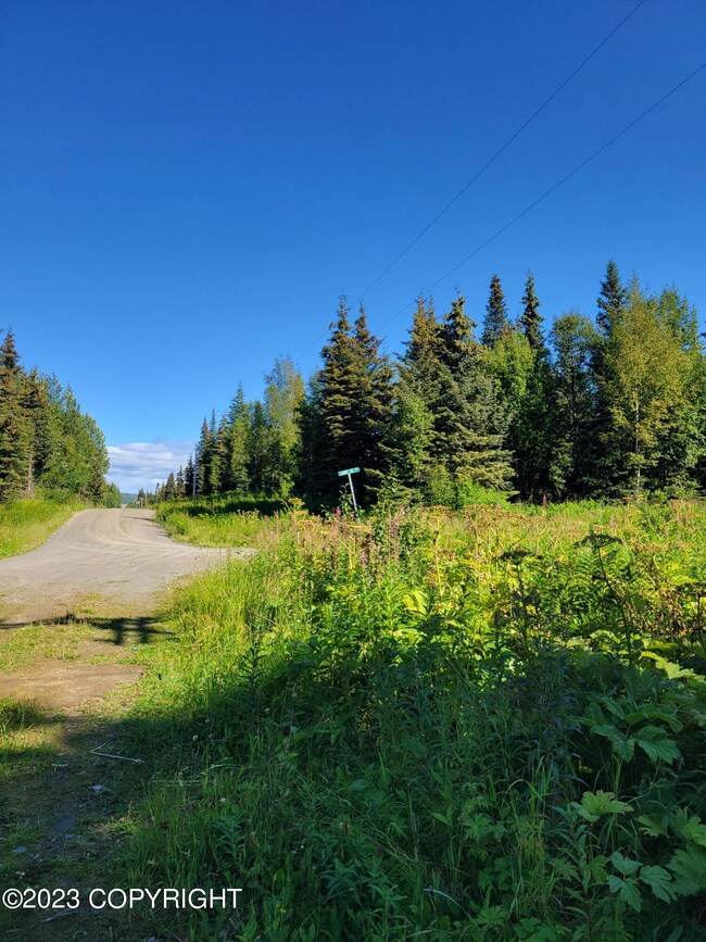 Tr 12 Tomski Ave, Anchor Point, AK 99556 - photo 2