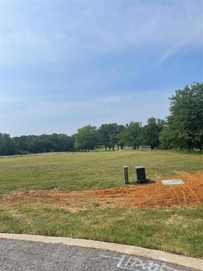 495 Toscana Cir, Gordonville, TX 76245 - photo 4