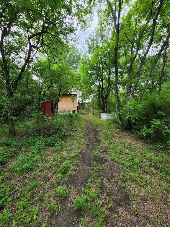 520 County Road 4070 520 County Road 4070, Ector, TX 75439 - photo 4