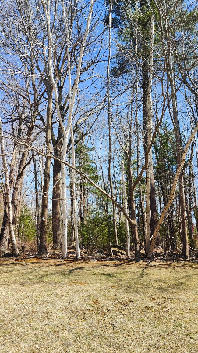 54 Black Smith Rd unit 13, Wells, ME 04090 - photo 6