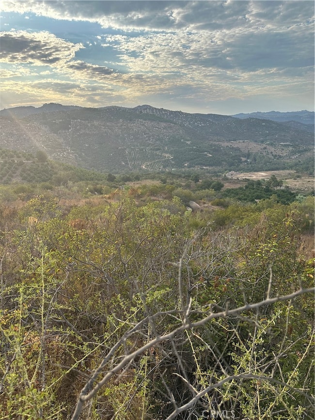 0 Vuelta Grande Rd unit SW25134063, Temecula, CA 92590 - photo 7