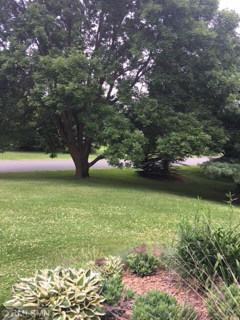 Front yard