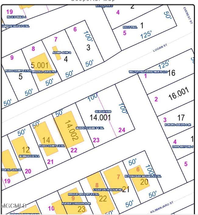 Screen Shot 2021-05-25 at 2.49.18 PM