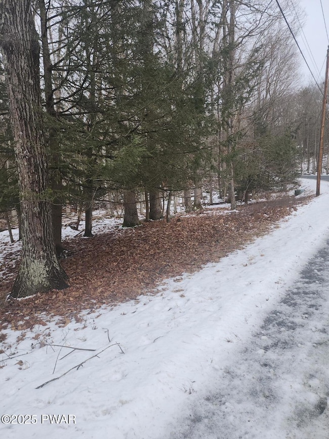 717 Paper Birch N, Tafton, PA 18464 - photo 3