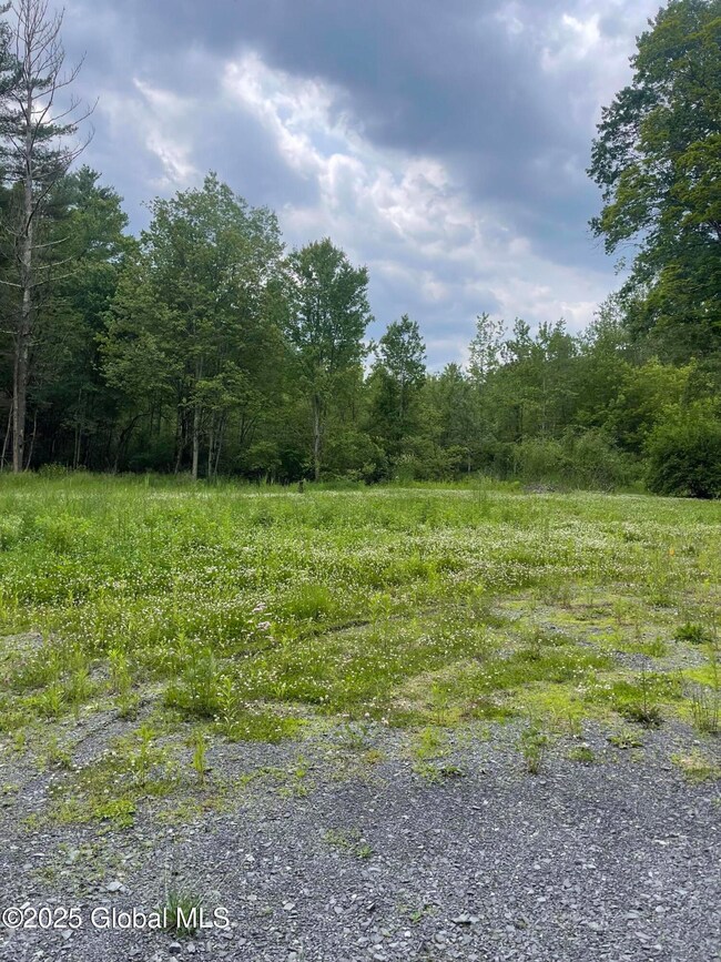 33 Turner Park Rd, Schenectady, NY 12302 - photo 4