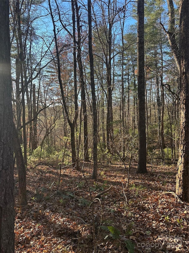 45 Westview Dr, Marion, NC 28752 - photo 2