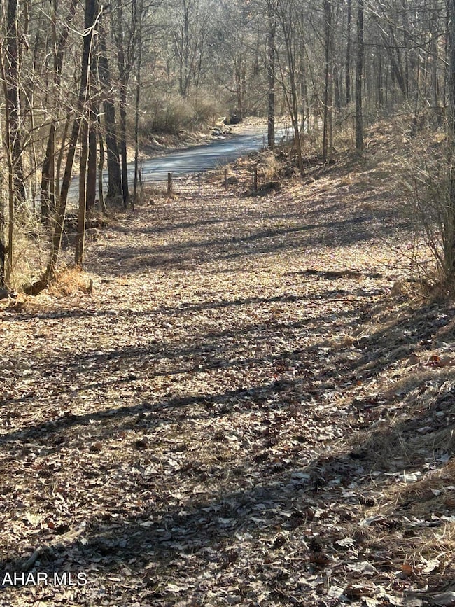 0 Hundred Springs Rd, Warriors Mark Township, PA 16686 - photo 3