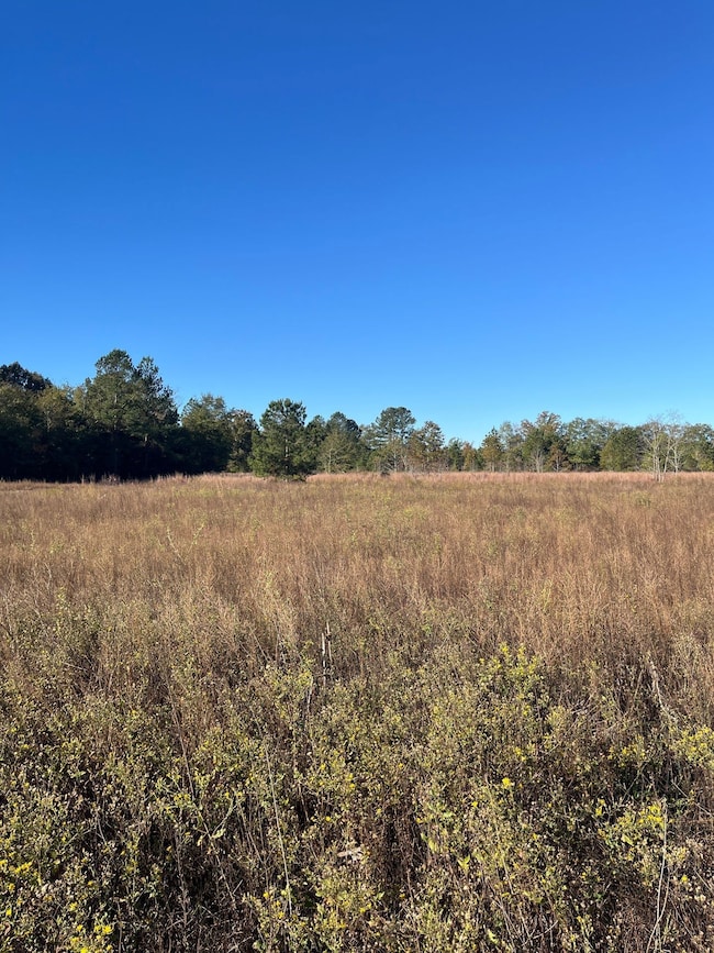 Bhl 3 Boise Cascade Rd, Bethune, SC 29009 - photo 2