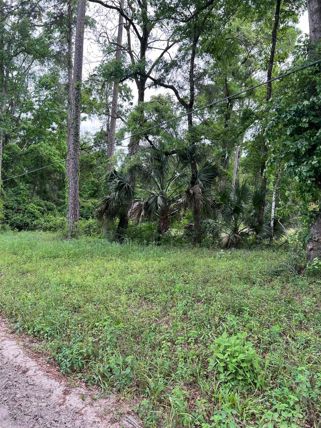 62 Appaloosa Rd, Crawfordville, FL 32327 - photo 7