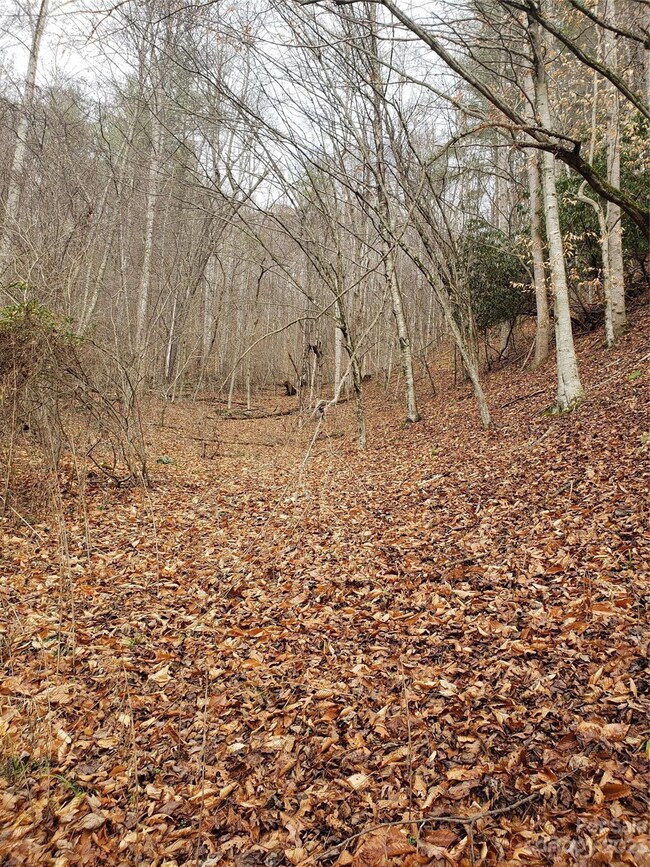 0000 Bald Mountain Rd, Burnsville, NC 28714 - photo 7