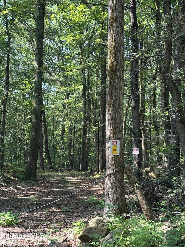 0 Cronk Rd, Sandisfield, MA 01255 - photo 3