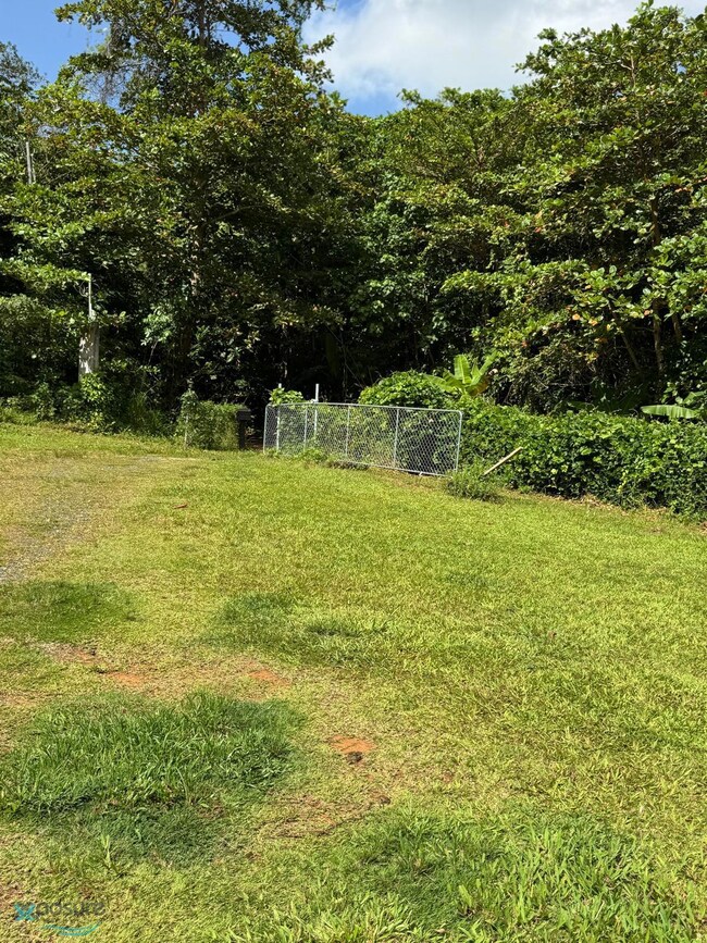 1 Bo Dominguito Carr 651, Arecibo, PR 00612 - photo 2