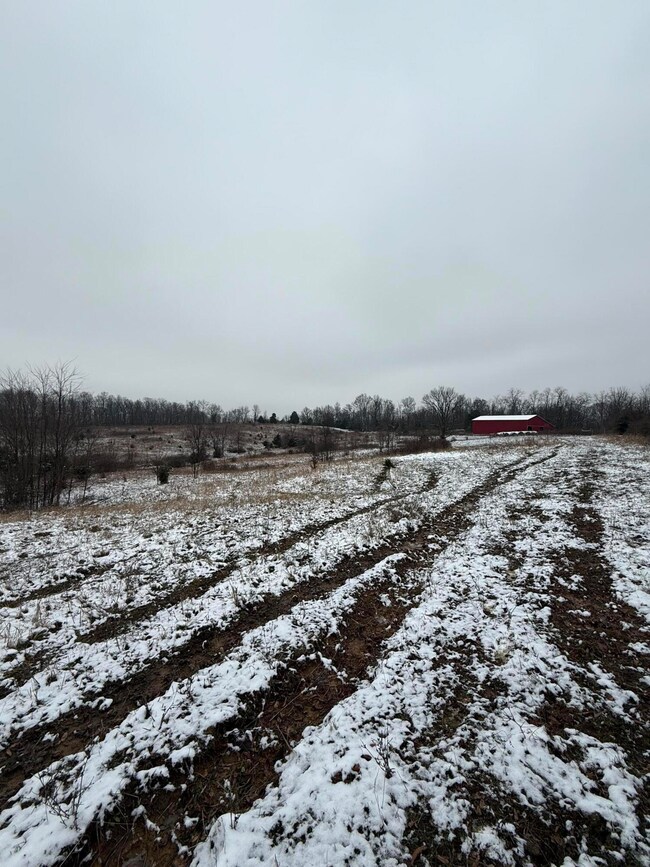 1013-B Salem Pike, Cynthiana, KY 41031 - photo 7