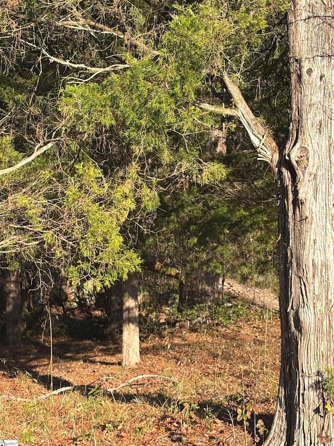 001 Fairground Rd, Simpsonville, SC 29680 - photo 3