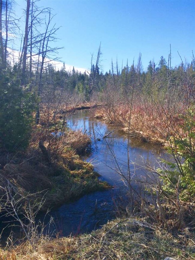 3803 U S 5, Sutton, VT 05867 - photo 2