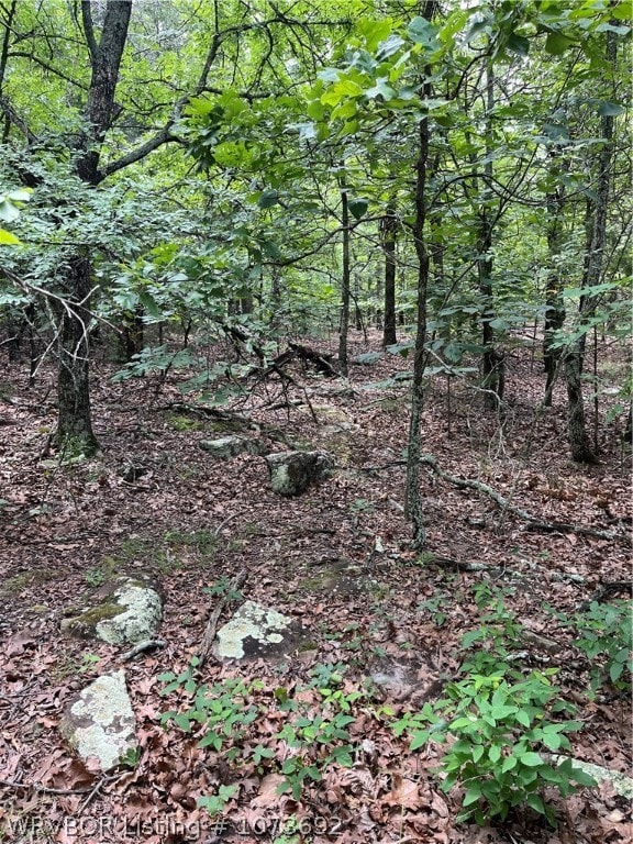 TBD Treasure Cove, Stigler, OK 74462 - photo 5