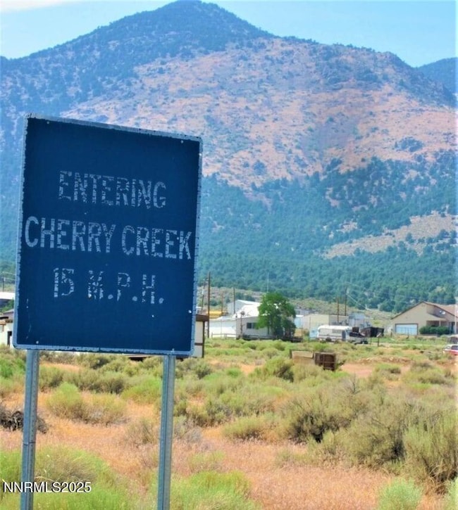 00503704 Cherry Creek Rd, Ely, NV 89301 - photo 3
