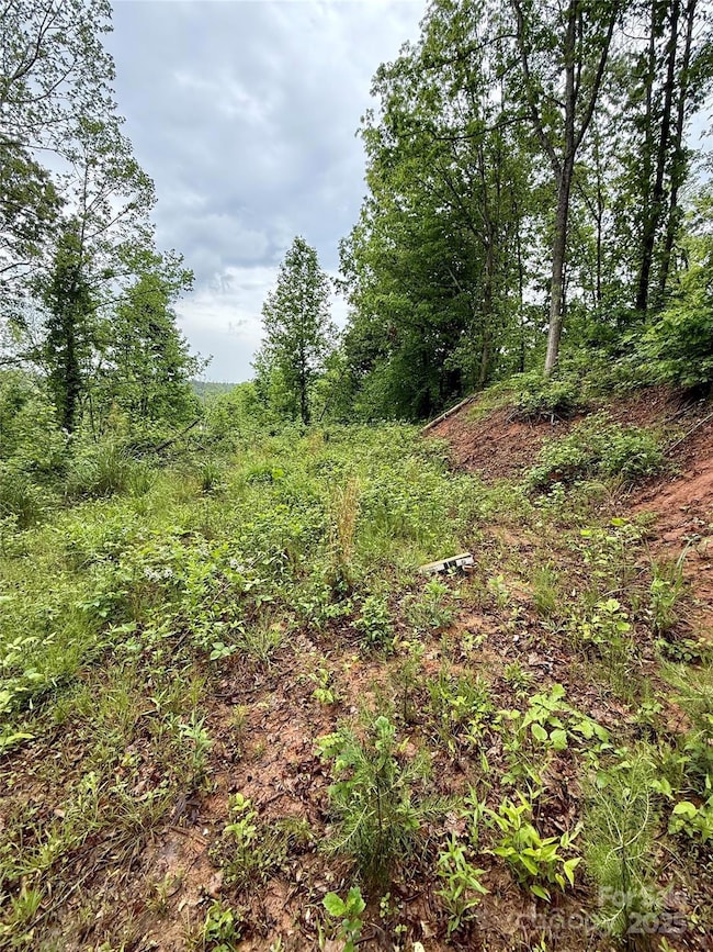 12 Willow Knoll Dr, Weaverville, NC 28787 - photo 4