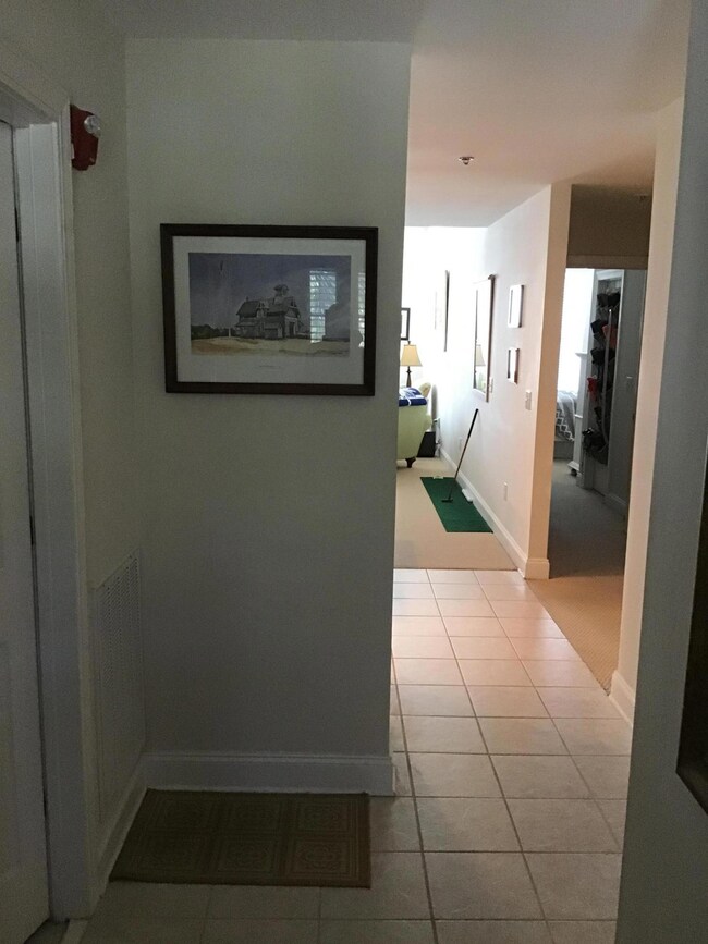 Entrance hall to living area