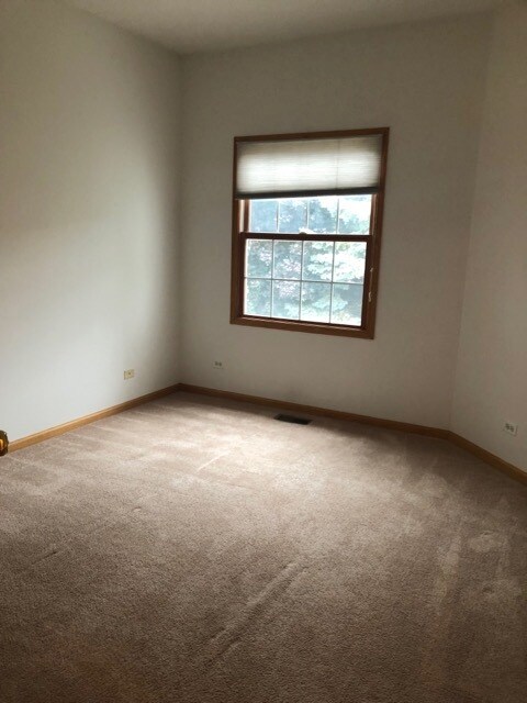 1004 N Columbia St, Naperville, IL 60563 - photo 4