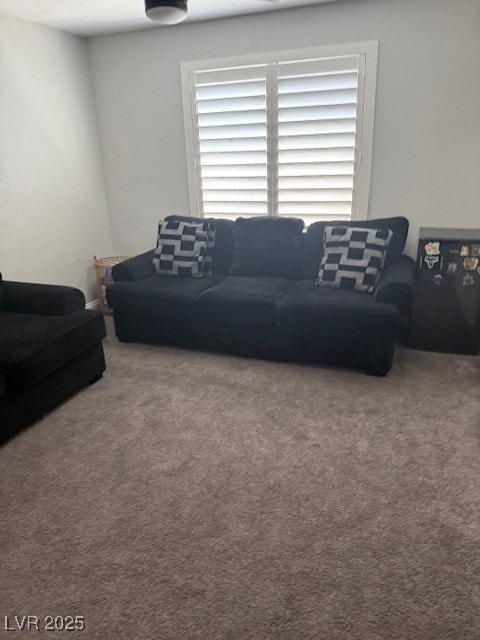 Living room with carpet flooring