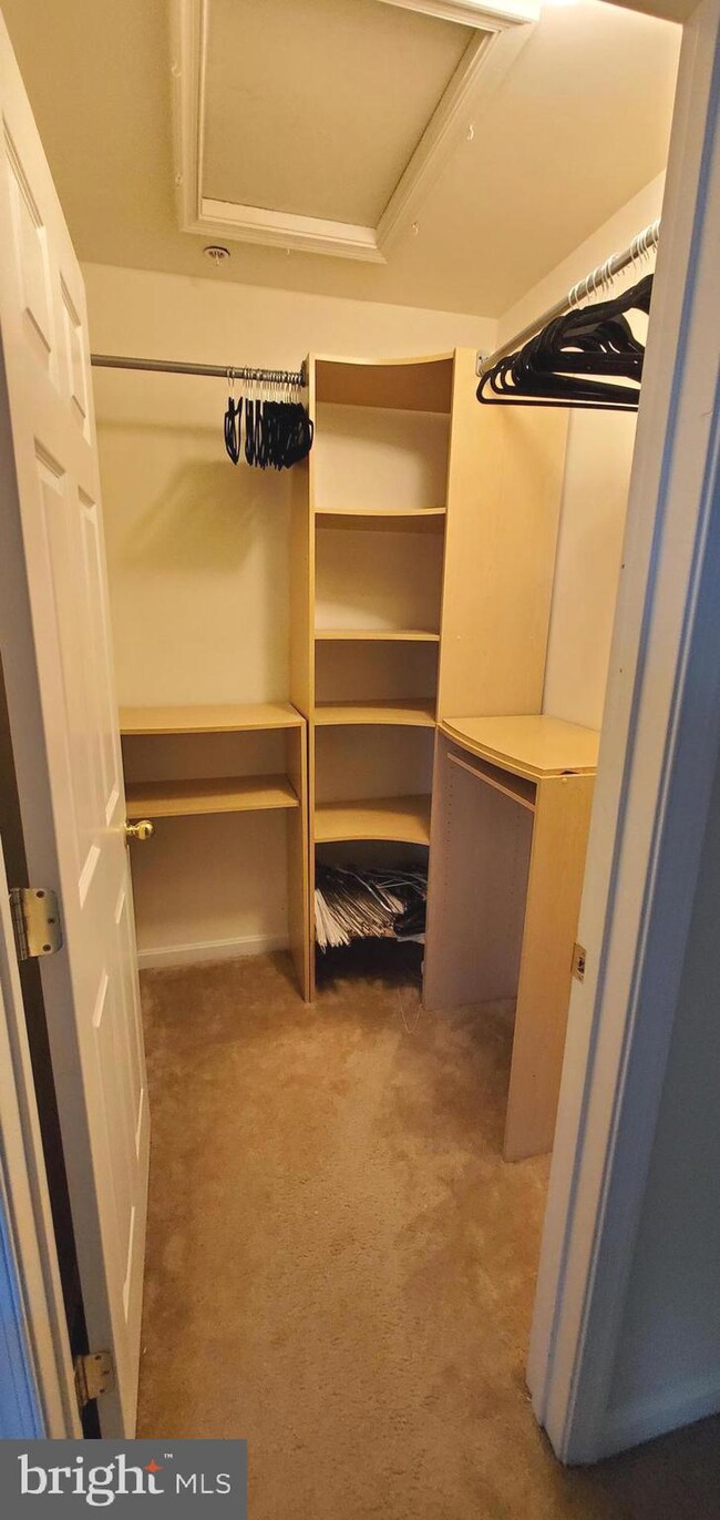 10258 Housely Place, White Plains, MD 20695 - photo 6