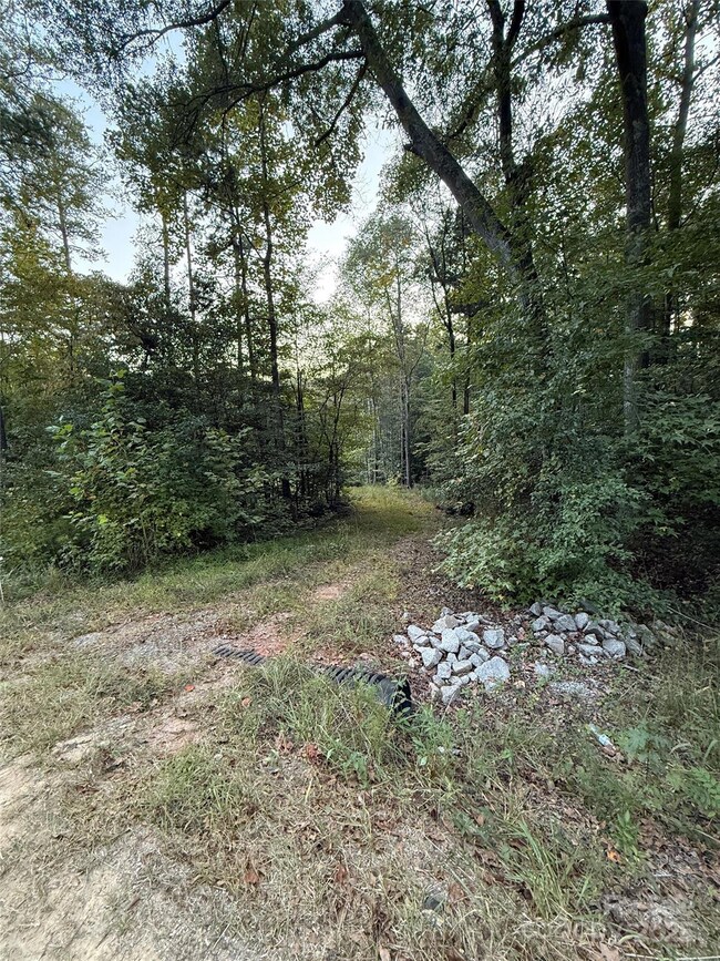00 Riddle Mill Rd, Clover, SC 29710 - photo 2