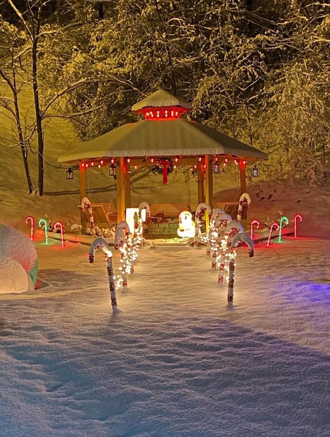 Carousel Image