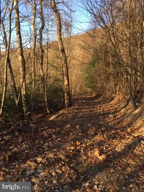 0 Rt 5 10 (Buffalo Hills Road), Franklin, WV 26807 - photo 6