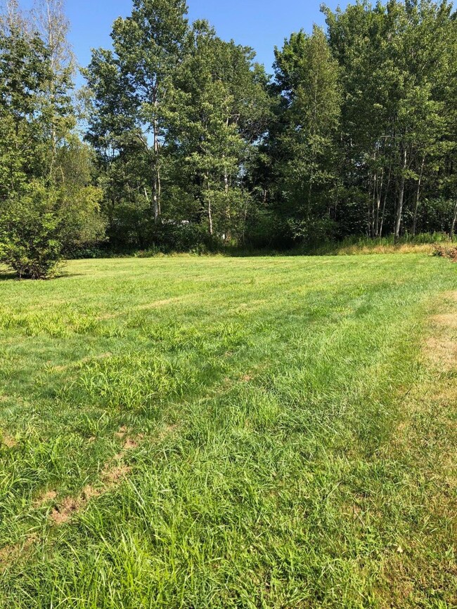 215 Park Blvd unit O78, Clarks Summit, PA 18411 - photo 4