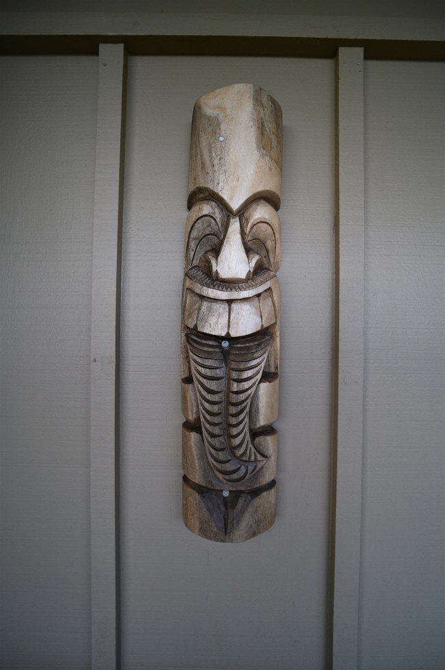 4865 Uakea Rd unit 102, Hana, HI 96713 - photo 4